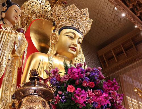 有錢也買不到的好風景？普濟禪寺諸佛護佑的原因